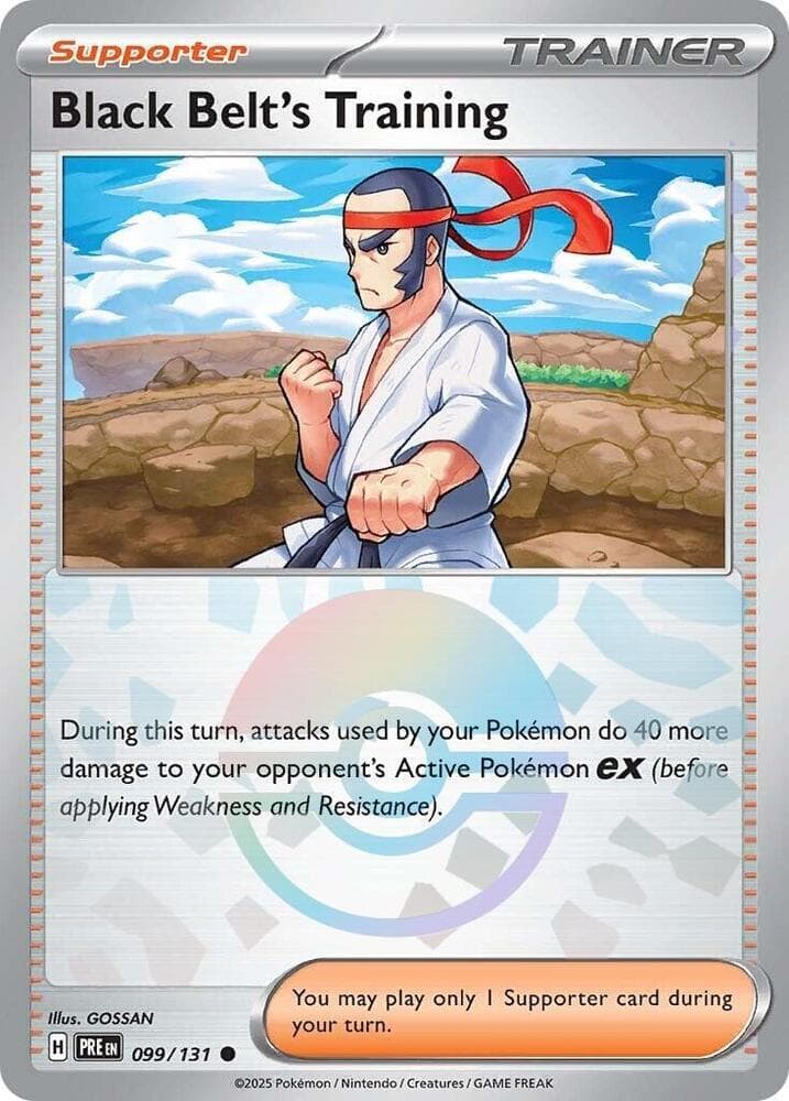 Black Belt's Training - 099/131 (Poke Ball Pattern)